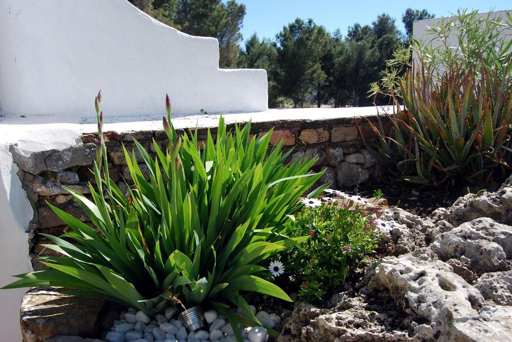 Villa La Roca - A Fusion Of Modern And Typical Andalucian Architecture Монтекорто Екстериор снимка